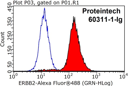 [60311-1-IG-150UL] HER2/ErbB2 Monoclonal antibody