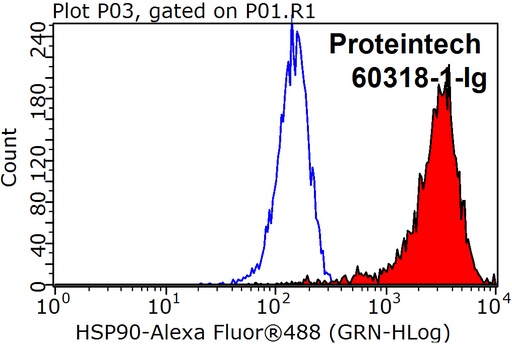 [60318-1-IG-150UL] HSP90 Monoclonal antibody