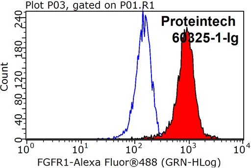 [60325-1-IG-20UL] FGFR1 Monoclonal antibody