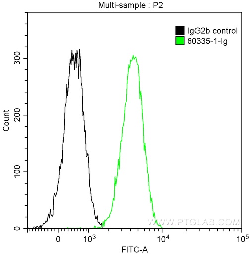 [60335-1-IG-150UL] E-cadherin Monoclonal antibody
