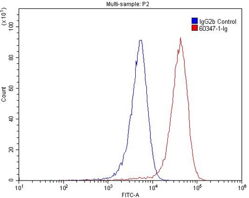 [60347-1-IG-150UL] CD3 Gamma Monoclonal antibody