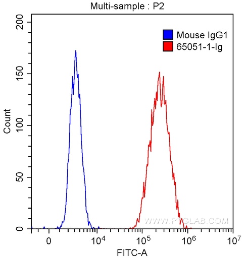 [65051-1-IG-100UG] Anti-Human CD107a (H4A3)