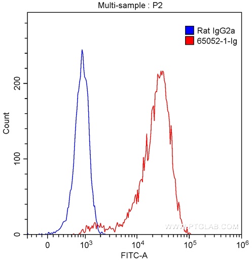 [65052-1-IG-500UG] Anti-Mouse CD107b (ABL-93)
