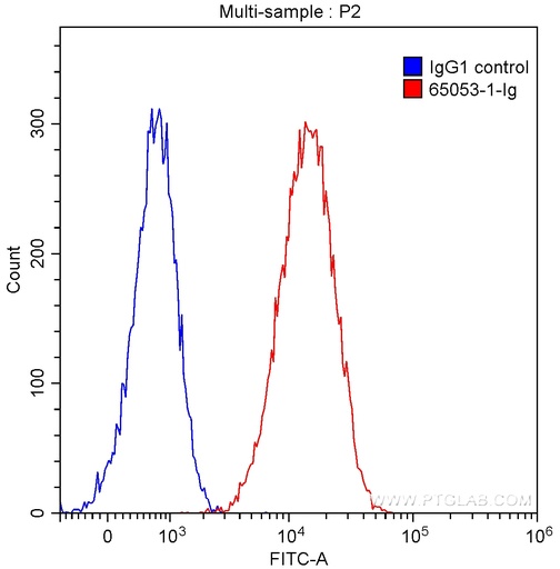 [65053-1-IG-100UG] Anti-Human CD107b (H4B4)