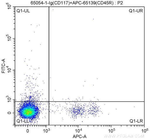 [65054-1-IG-500UG] Anti-Mouse CD117 (2B8)