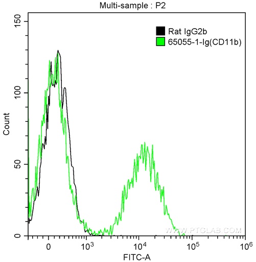 [65055-1-IG-500UG] Anti-Mouse CD11b (M1/70)