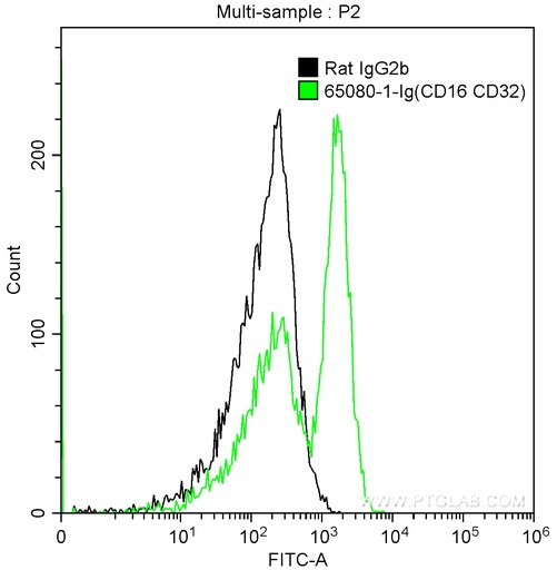 [65080-1-IG-100UG] Anti-Mouse CD16 / CD32 (2.4G2)