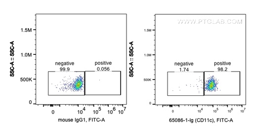 [65086-1-IG-100UG] Anti-Human CD11c (3.9)
