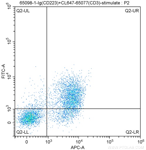 [65098-1-IG-100UG] Anti-Mouse CD223 (C9B7W)