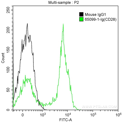 [65099-1-IG-100UG] Anti-Human CD28 (CD28.2)