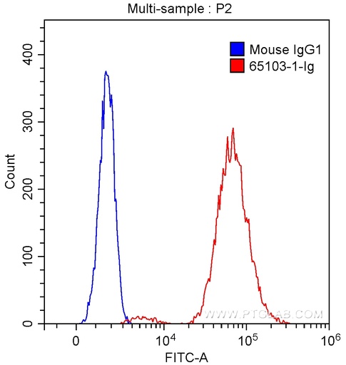 [65103-1-IG-100UG] Anti-Human CD40 (G28.5)