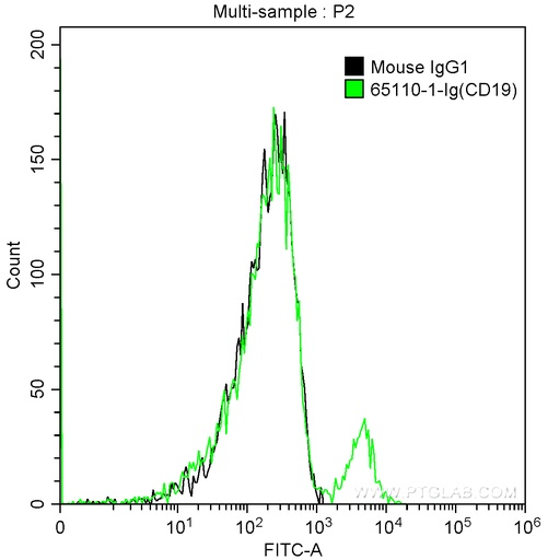[65110-1-IG-100UG] Anti-Human CD19 (HIB19)