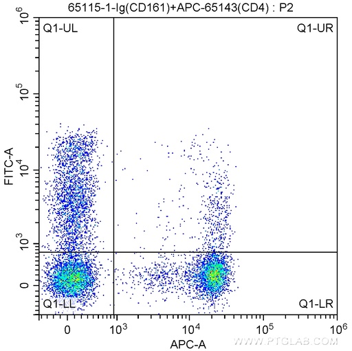 [65115-1-IG-100UG] Anti-Human CD161 (HP-3G10)