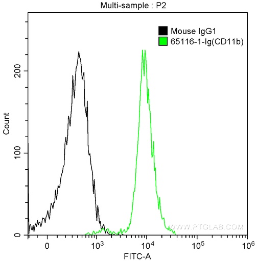 [65116-1-IG-100UG] Anti-Human CD11b (ICRF44)