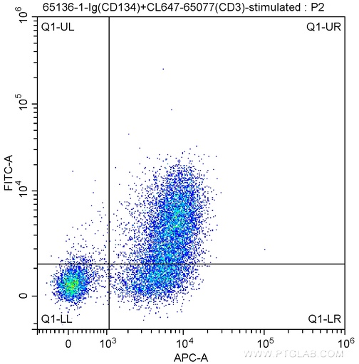 [65136-1-IG-100UG] Anti-Mouse CD134 (OX-86)