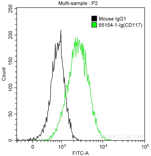[65154-1-IG-100UG] Anti-Human CD117 (104D2)