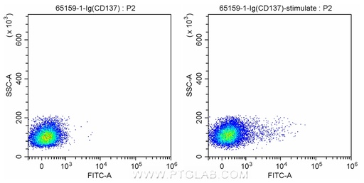 [65159-1-IG-100UG] Anti-Human CD137 (4B4-1)