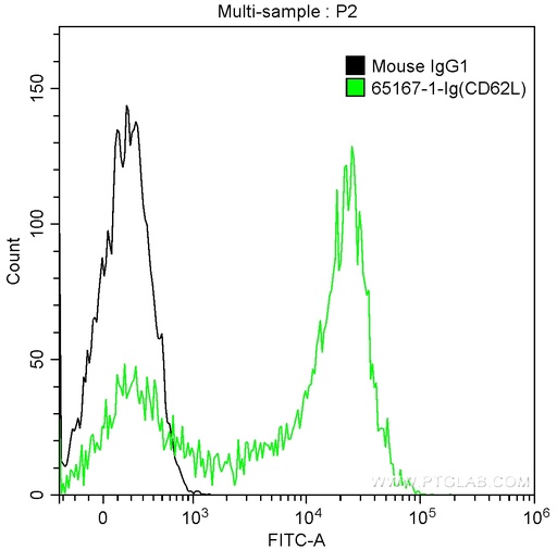 [65167-1-IG-100UG] Anti-Human CD62L (DREG56)