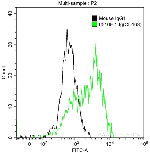 [65169-1-IG-100UG] Anti-Human CD163 (GHI/61)