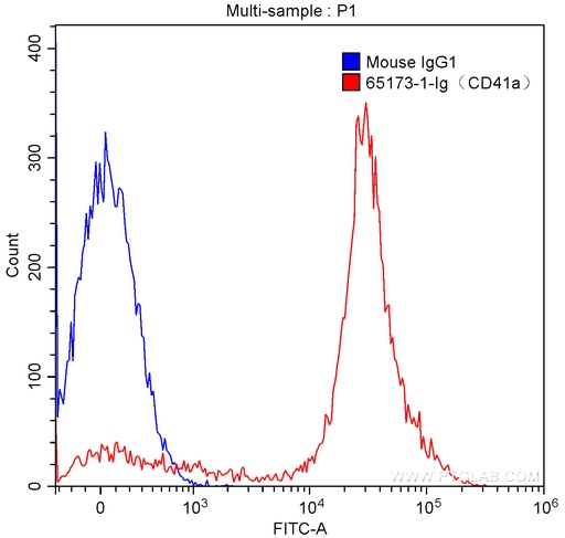 [65173-1-IG-100UG] Anti-Human CD41a (HIP8)