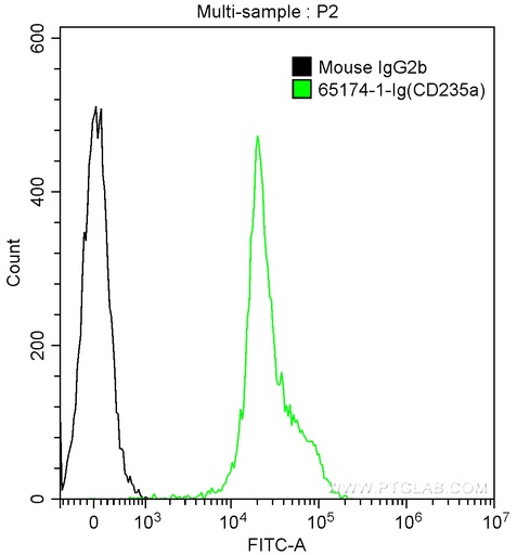 [65174-1-IG-100UG] Anti-Human CD235a (HIR2)