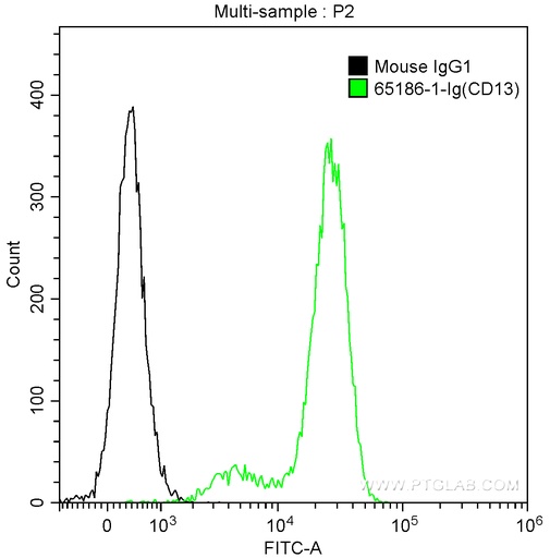 [65186-1-IG-100UG] Anti-Human CD13 (WM15)