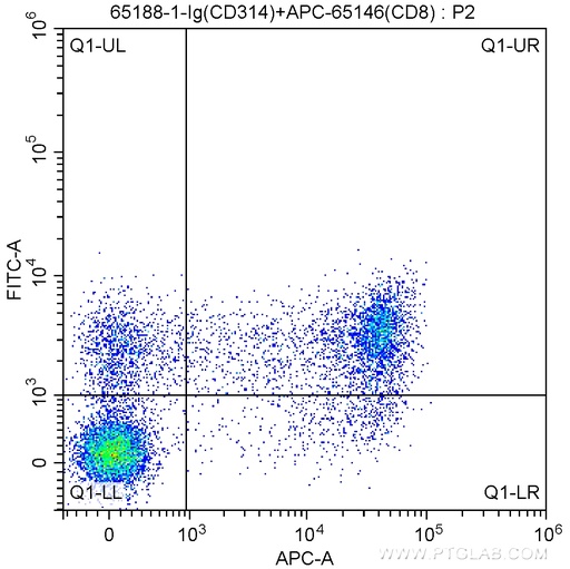 [65188-1-IG-100UG] Anti-Human CD314 (1D11)