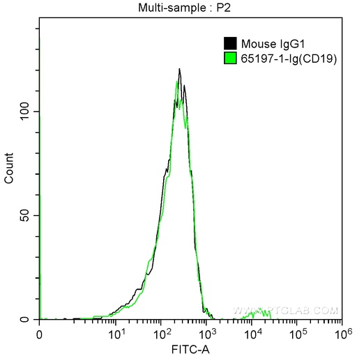 [65197-1-IG-100UG] Anti-Human CD19 (4G7)
