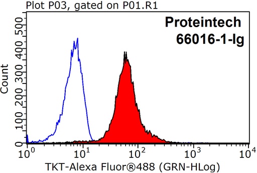 [66016-1-IG-20UL] Transketolase Monoclonal antibody