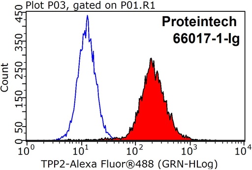 [66017-1-IG-20UL] TPPII Monoclonal antibody