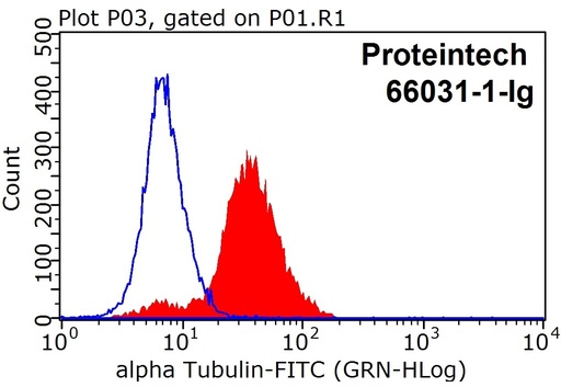 [66031-1-IG-150UL] Alpha Tubulin Monoclonal antibody