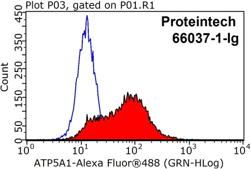 [66037-1-IG-20UL] ATP5A1 Monoclonal antibody