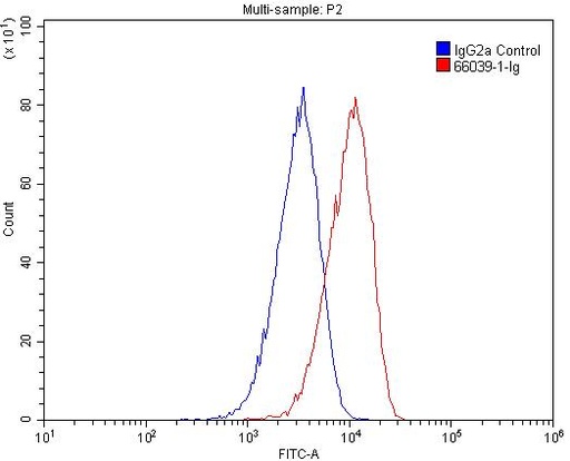 [66039-1-IG-150UL] CPT1A Monoclonal antibody