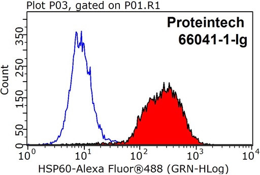 [66041-1-IG-150UL] HSP60 Monoclonal antibody