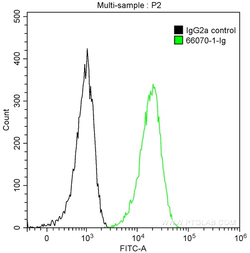 [66070-1-IG-150UL] Integrin Alpha 3 Monoclonal antibody