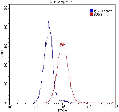 [66079-1-IG-100UL] Phospho-TDP43 (Ser403/404) Monoclonal antibody