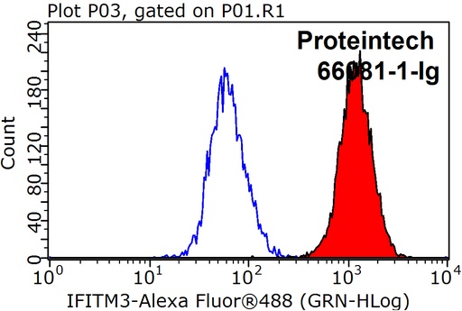 [66081-1-IG-150UL] IFITM2/3 Monoclonal antibody