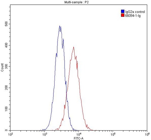 [66094-1-IG-150UL] Fetuin-A Monoclonal antibody