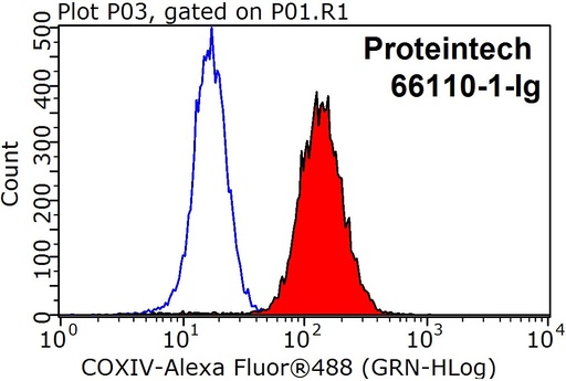 [66110-1-IG-150UL] COXIV Monoclonal antibody