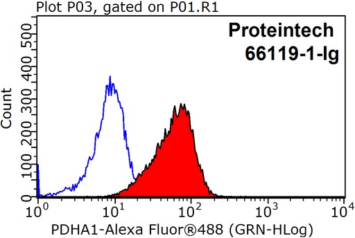 [66119-1-IG-150UL] PDH E1 Alpha Monoclonal antibody
