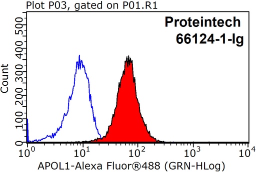 [66124-1-IG-150UL] APOL1-Specific Monoclonal antibody