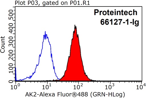 [66127-1-IG-150UL] AK2 Monoclonal antibody