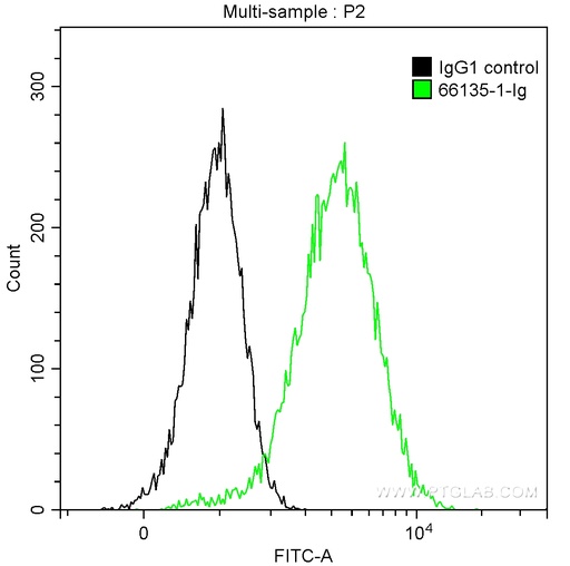 [66135-1-IG-20UL] Alpha 1 Antitrypsin Monoclonal antibody