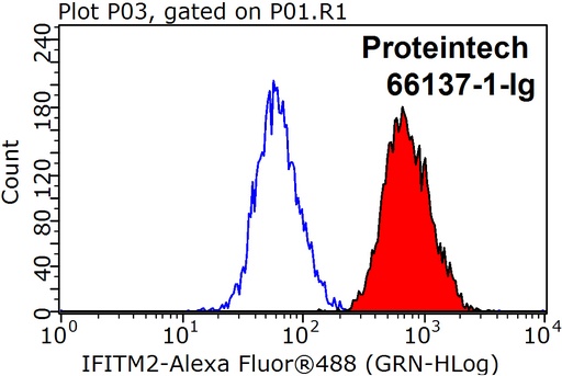 [66137-1-IG-150UL] IFITM2-specific Monoclonal antibody