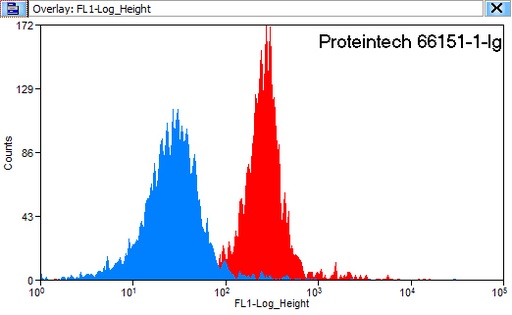 [66151-1-IG-150UL] HBE1-Specific Monoclonal antibody