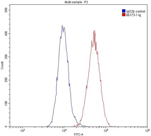 [66173-1-IG-150UL] CNPY2, MSAP Monoclonal antibody