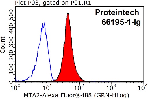 [66195-1-IG-20UL] MTA2 Monoclonal antibody
