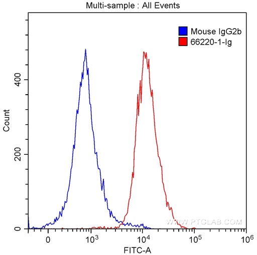 [66220-1-IG-20UL] PD-1/CD279 Monoclonal antibody