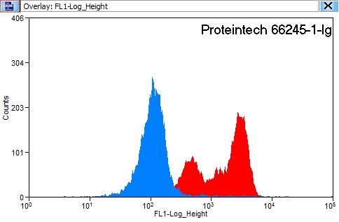 [66245-1-IG-20UL] Annexin V Monoclonal antibody