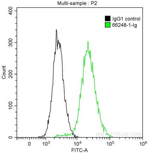 [66248-1-IG-20UL] PD-L1/CD274 Monoclonal antibody